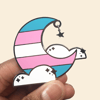 Trans Pride Queer Sky Pin