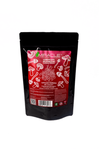Image 1 of Cordyceps Mushroom Superfood 