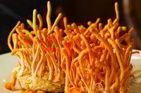 Image 2 of Cordyceps Mushroom Superfood 