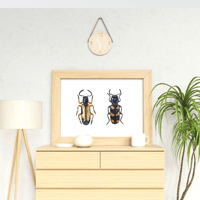 Image 2 of Two Beetles Watercolor Illustration PRINT 