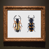Image 3 of Two Beetles Watercolor Illustration PRINT 