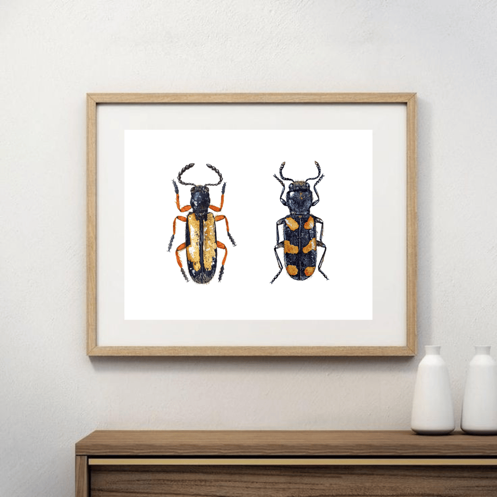 Image of Two Beetles Watercolor Illustration PRINT 