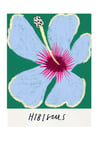 Hibiscus