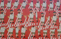 Image 1 of Pack of 25 10x5cm Exeter City ECFC Football/Ultras Stickers.