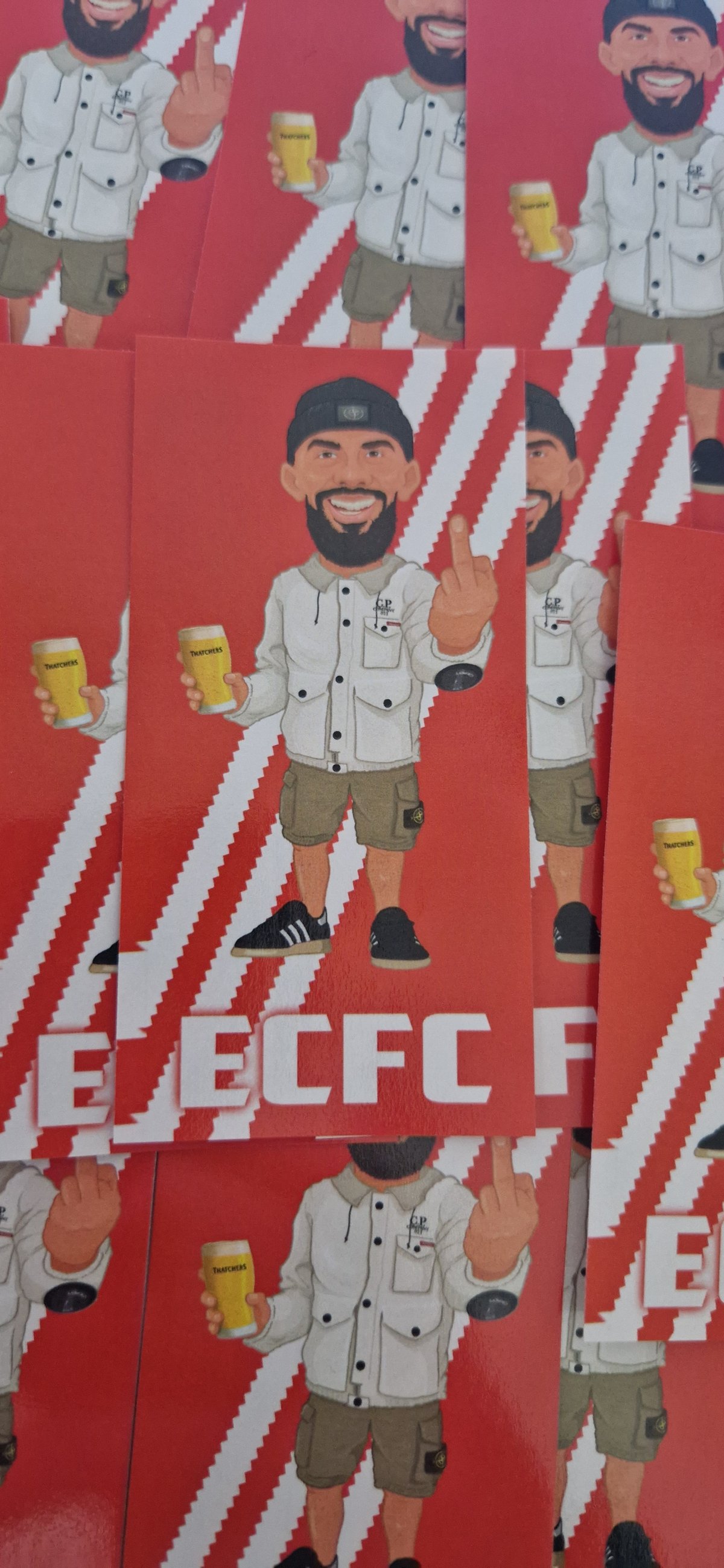 Pack of 25 10x5cm Exeter City ECFC Football/Ultras Stickers.