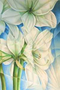 Image 1 of Fractured Lillies