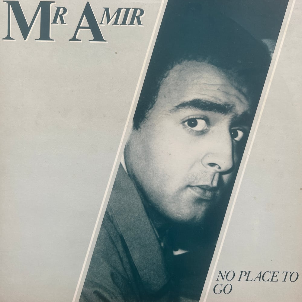 Image of Mr Amir - No Place To Go
