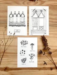 Venice's collection 