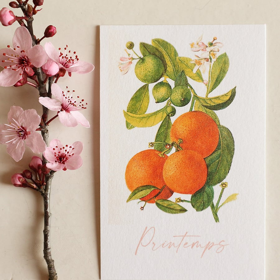 Image of Carte printemps (oranges)