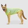 Icon Sweater green/blue - Canada Pooch