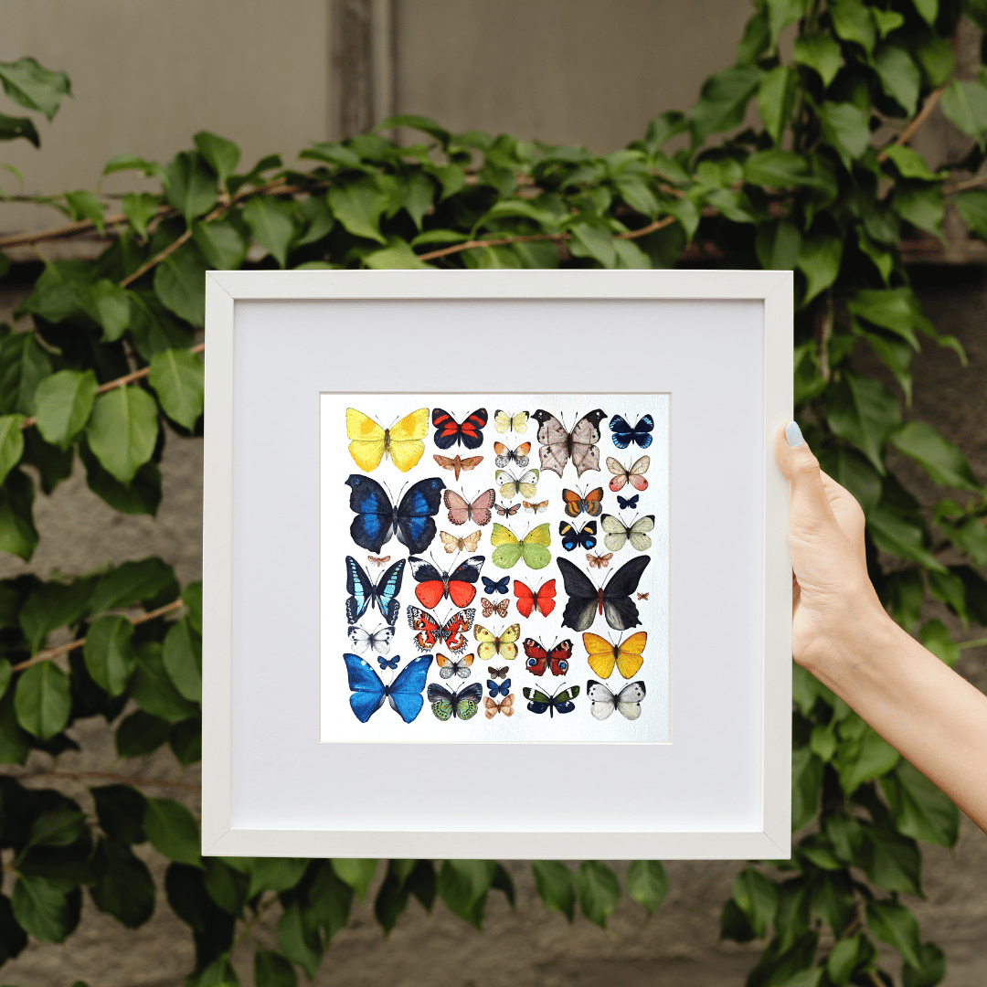Image of Rebirth Butterflies Illustration PRINT 