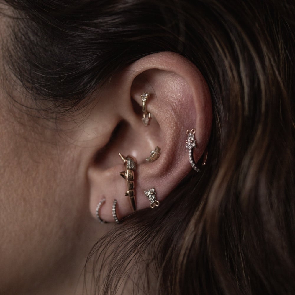 Image of COME CLOSE EARRING.