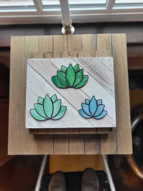 Image of M. Succulent-stained glass