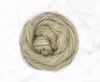 Light Gray Faroe Combed Top 4 ounces