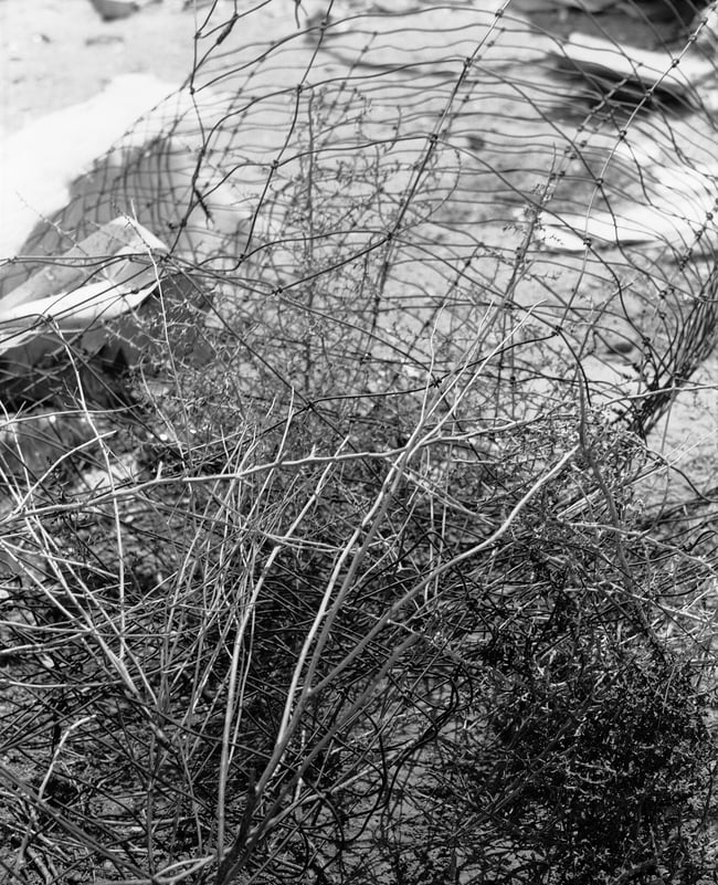 16 x 20 Print - Alive Wire, Unring a Bell