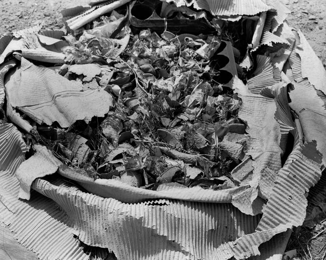 16 x 20 Print - Cardboard Bloom, Unring a Bell