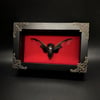 Bat Wing Cicada - Red Velvet