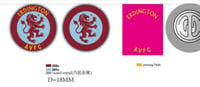 Image 3 of Erdington Villa badge