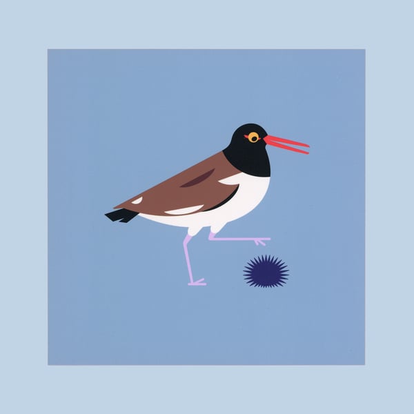 Image of Oystercatcher’s Obstacle Postcard Print