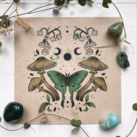 Postcard Moth