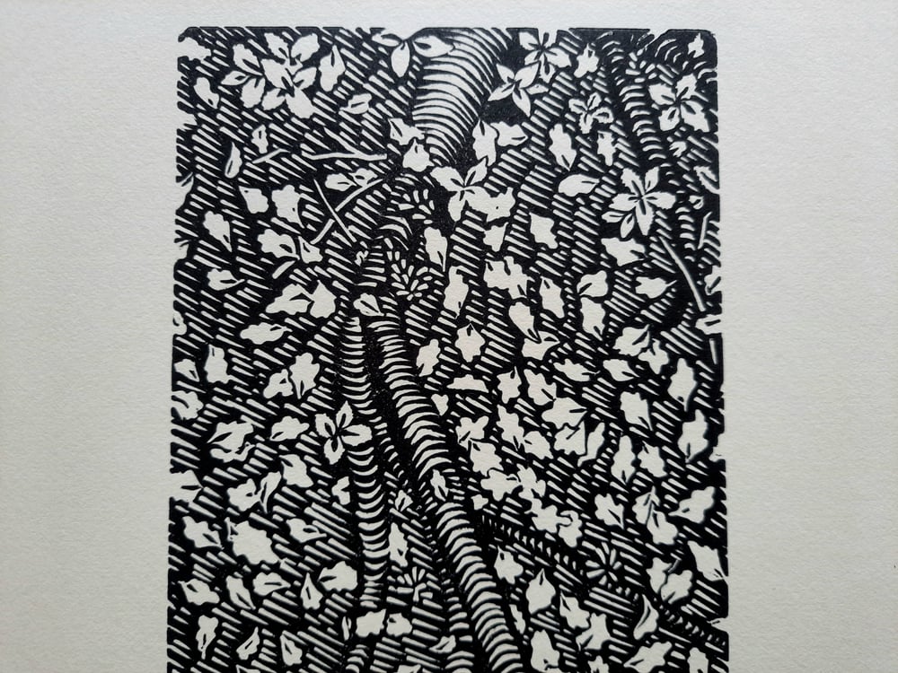 AUTUMN LEAVES 2