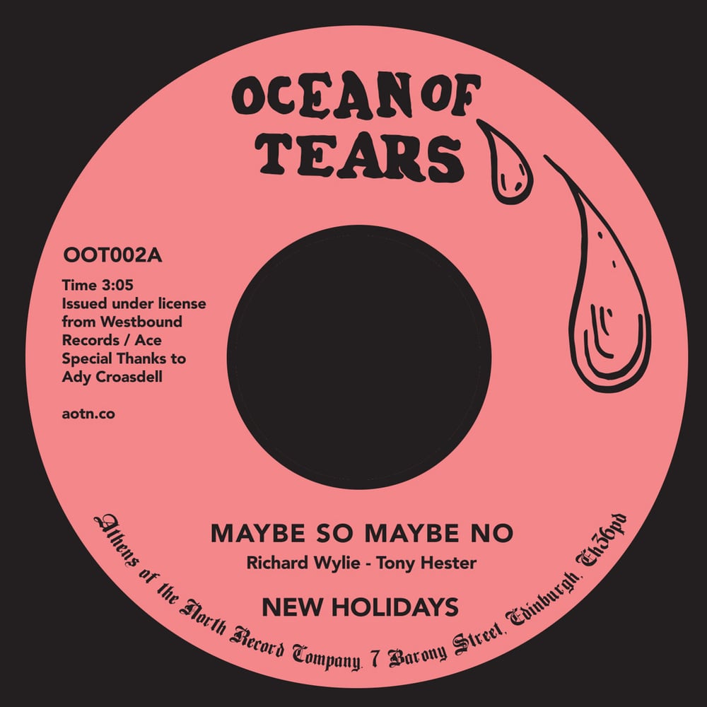 New Holidays - Maybe So Maybe No (import 7")