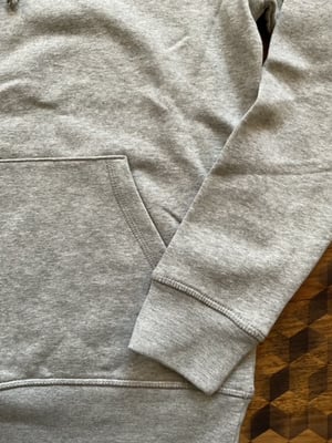Image of Eisvogel hoodie grau