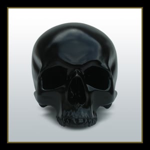 Image of Gloss Black Human Skull