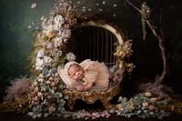Image 1 of ADD ON Artistic Newborn Composite 