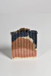  Nourish and Purify Botanical soap Bar