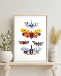 Image 3 of Insect Lanternfly Watercolor Illustration LIMITED EDITION PRINT 