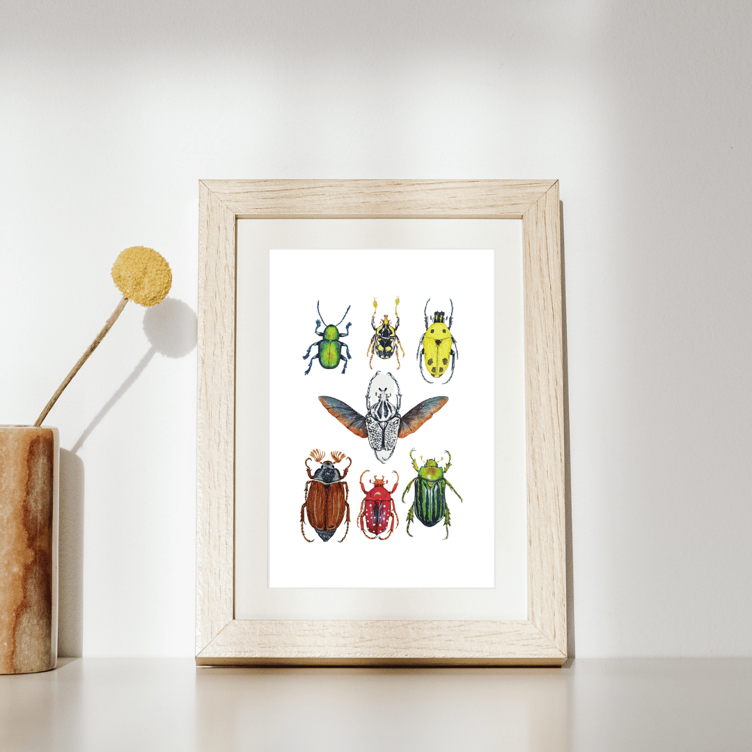 Image of Coleoptera Study n.1 Watercolor Illustration PRINT 