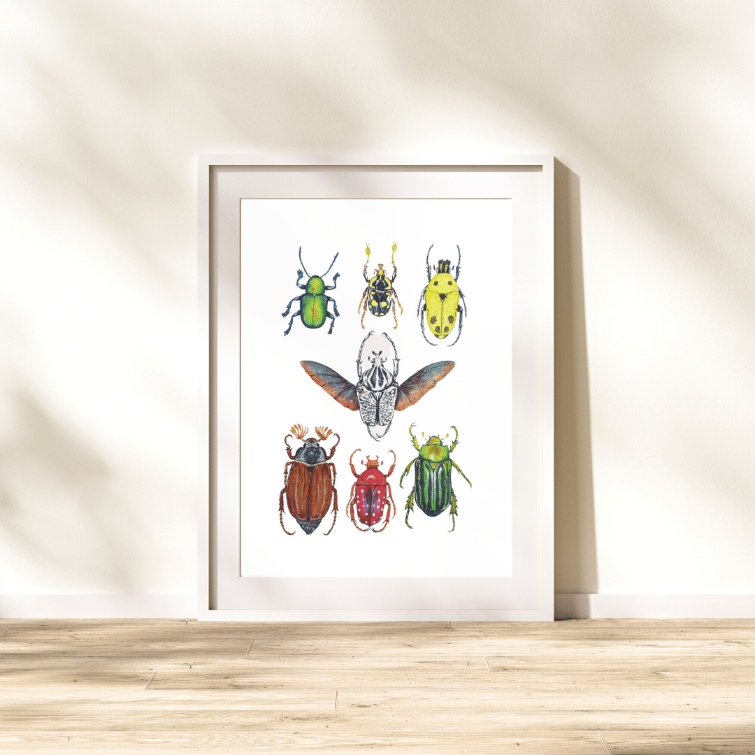 Image of Coleoptera Study n.1 Watercolor Illustration PRINT 