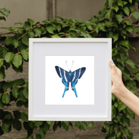 Image 2 of Blue Butterfly Watercolor Illustration PRINT 