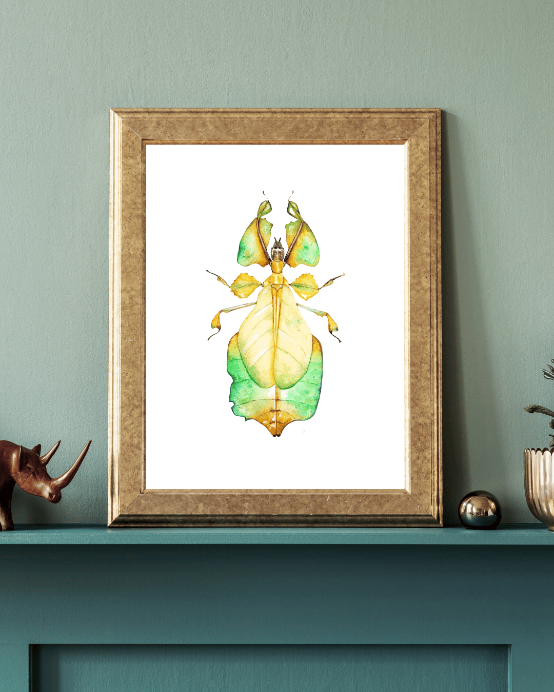 Image of Leaf Insect Phyllium bioculatum Watercolor Illustration PRINT 