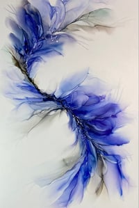 Image 1 of Indigo 1