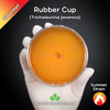 Rubber Cup (Trichaleurina Javanica) Live Mycelium Mushroom Culture Spawn Seed