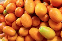 Image 4 of Pickled Ginger and Kumquat - limited edition 02/2024