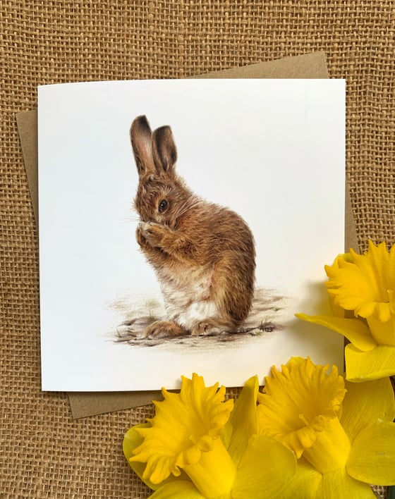 Image of 'Shy Leveret' Greetings Card
