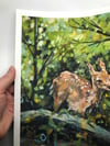 12x16" Limited Edition Print of Forest Fawns