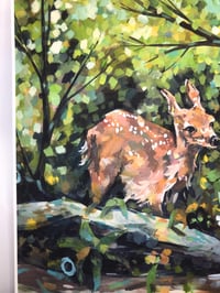 Image 3 of 8x10" Print of Forest Fawns