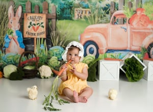 Image of Spring/Easter Minis - Monday April 3, 2023