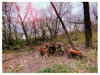 Auto II 9x12 Photo Print