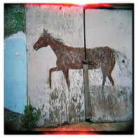 Image 1 of Lomo Pony Photo Print