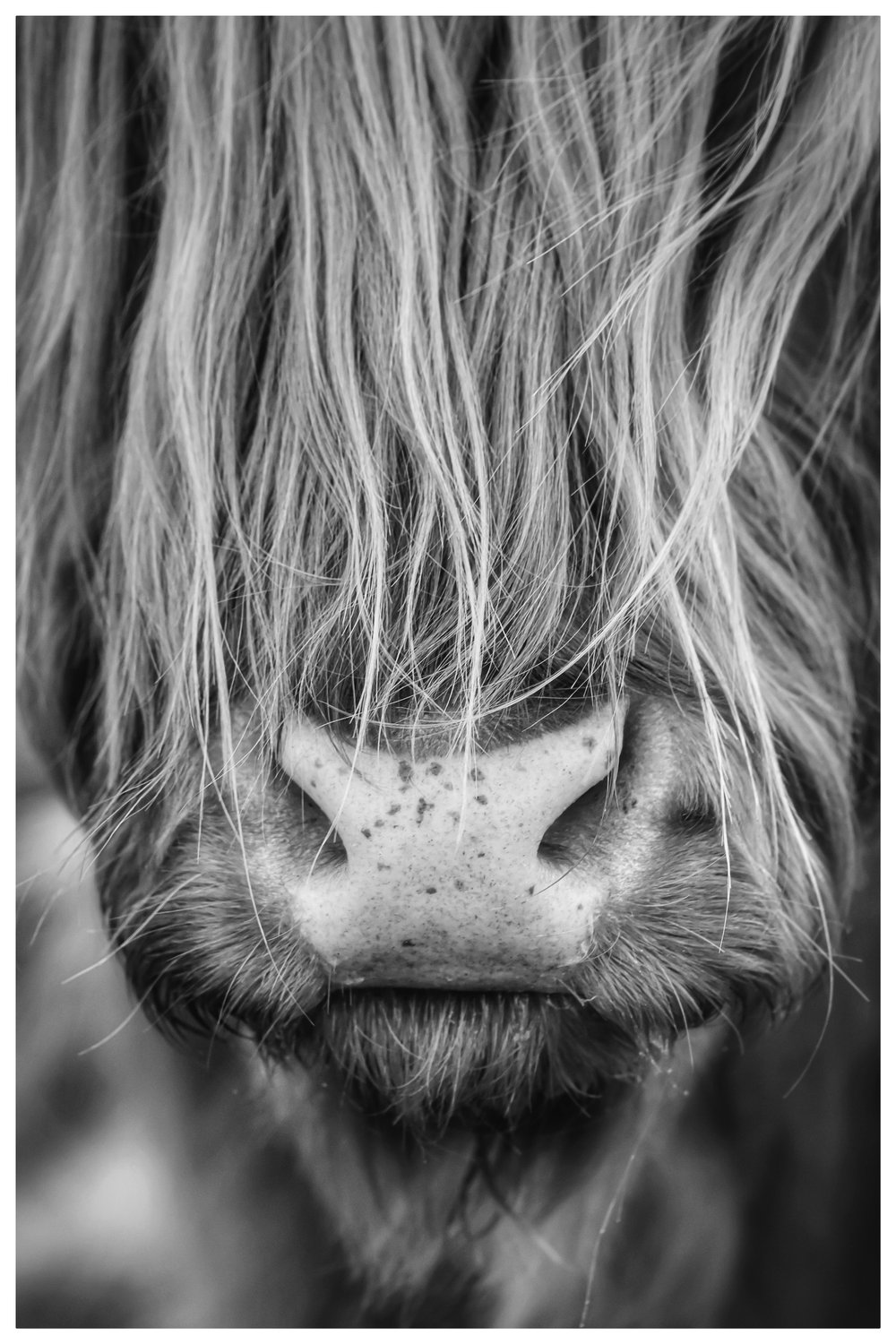 Image of Freckles (B&W)