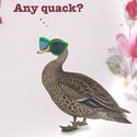 Any quack? (Ref. 511)