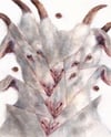 gout (4x5, 8x10, 11x14 inches) fine art print