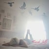 Sarah Jaffe Dont Disconnect cd or vinyl