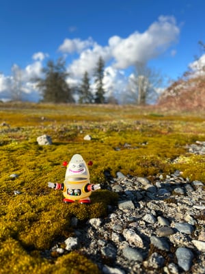 Image of WR Escapee 02 - “Shy Guy"