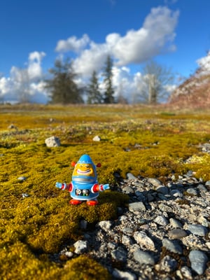 Image of WR Escapee 03 - “Jimmy"